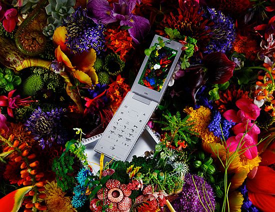 botanica cell phone 3