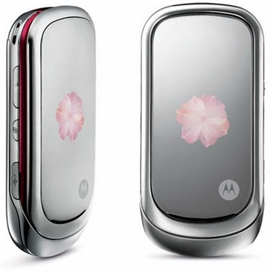 motorola pebl rose bloom phone detail rKF2G 11446