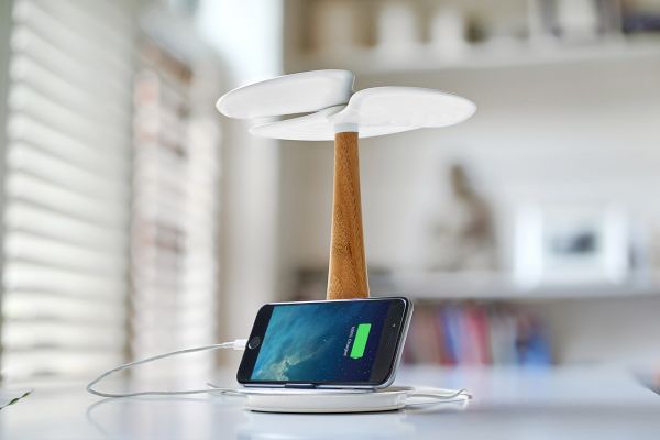 Ginkgo solar charger 1