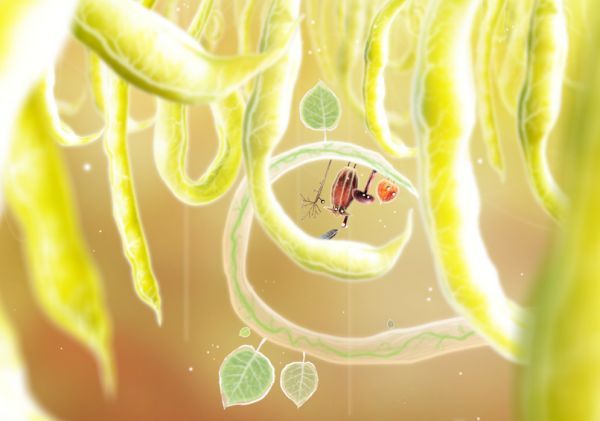 download botanicula steam