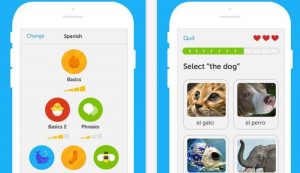 duo app for iphone