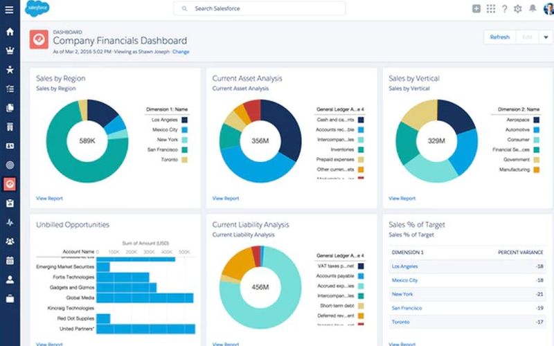 Financial Force Cloud Software Program